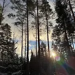 Whispering Pines فيلة